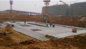 承接广州 新建工地白蚁预防工程和白蚁防治工程