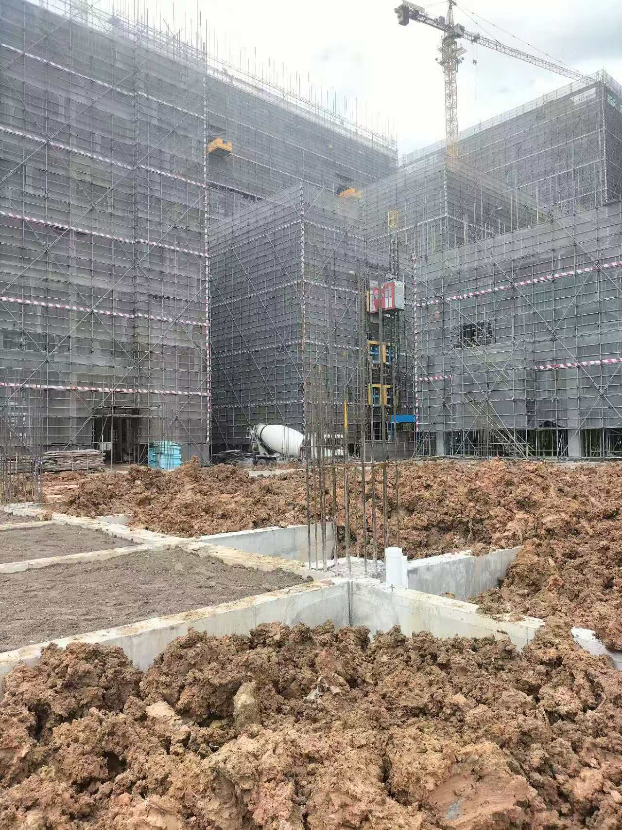 承接广州新建房屋白蚁预防工程和白蚁防治工程